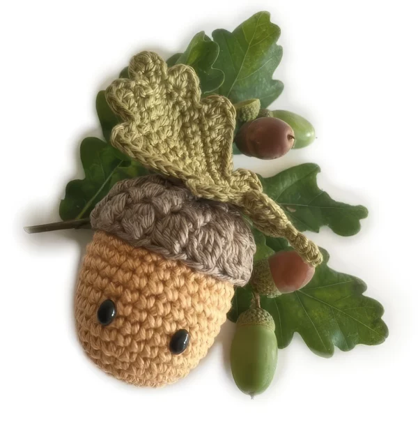 The little Andy Acorn