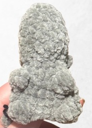 How to make bottom of the body