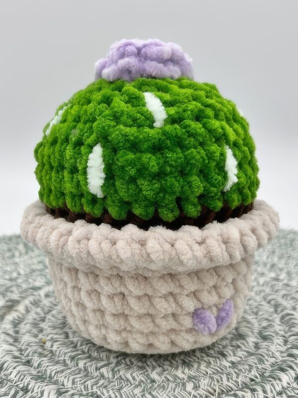 Cute Low-Sew Cactus Free Crochet Pattern