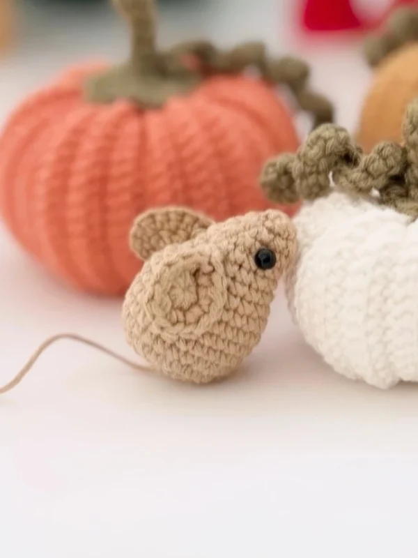 Cozy Little Field Mouse Free Crochet Pattern