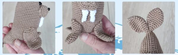 How to assembly walrus