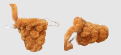 How to make duckling beak.
