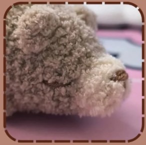 How to embroider eyes